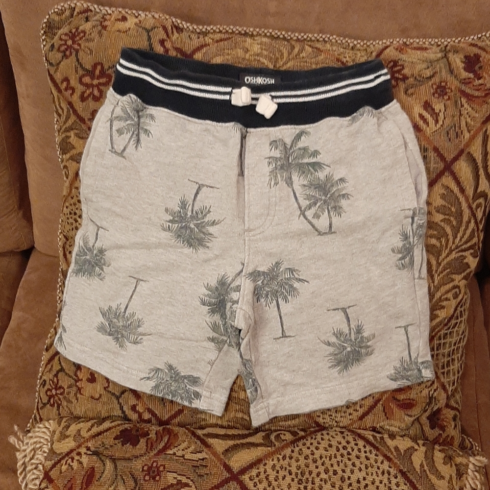 Oshkosh B'gosh toddler boys shorts size 4T